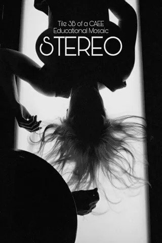 Görsel: TMDB Stereo afişi