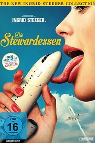 Görsel: TMDB Stewardesses Report afişi