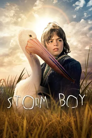 Görsel: TMDB Storm Boy afişi