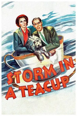 Görsel: TMDB Storm in a Teacup afişi