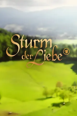 Storm of Love afişi