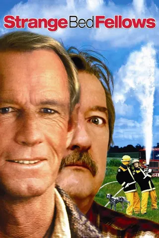 Görsel: TMDB Strange Bedfellows afişi