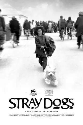 Görsel: TMDB Stray Dogs afişi