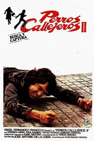 Görsel: TMDB Street Warriors II afişi