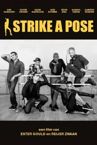 Strike a Pose afişi