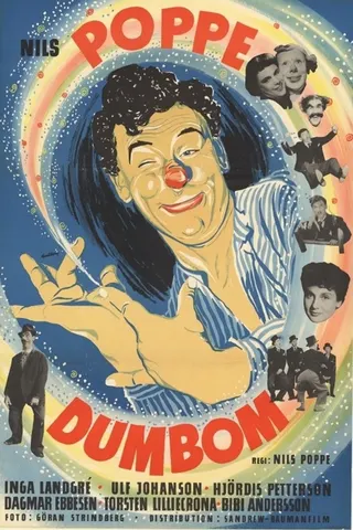 Stupid Bom afişi
