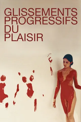 Successive Slidings of Pleasure afişi