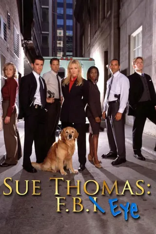 Sue Thomas: F.B.Eye afişi