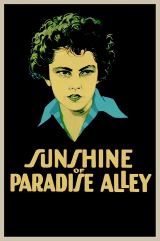 Görsel: TMDB Sunshine of Paradise Alley afişi