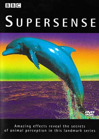 Supersense afişi