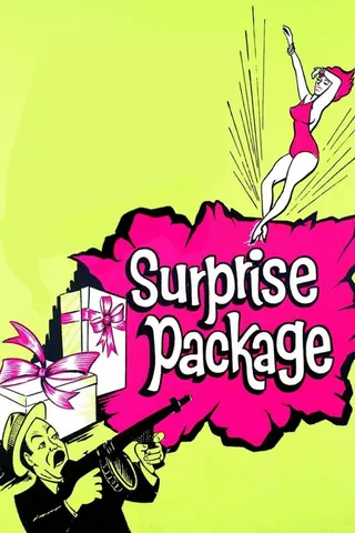 Görsel: TMDB Surprise Package afişi