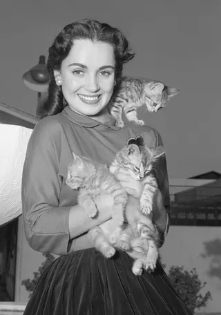 Görsel: Publication: Los Angeles Daily News / CC BY Susan Cabot