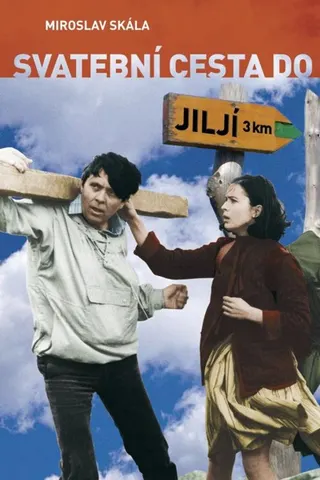 Svatební cesta do Jiljí afişi