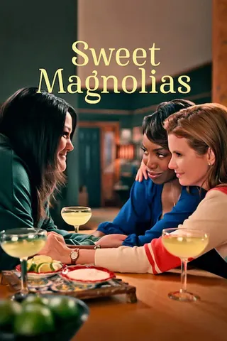 Görsel: TMDB Sweet Magnolias afişi