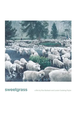 Sweetgrass afişi