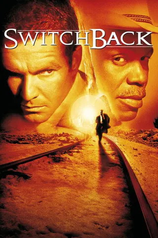Görsel: TMDB Switchback afişi
