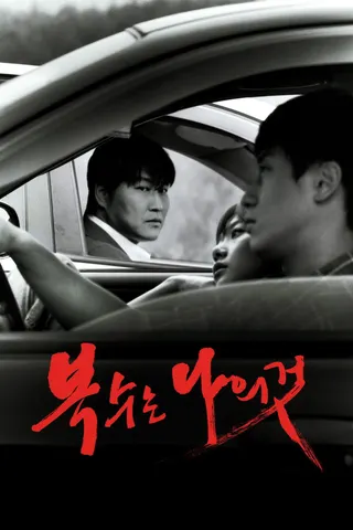 Görsel: TMDB Sympathy for Mr. Vengeance afişi
