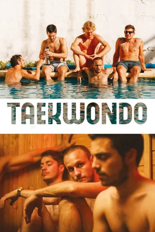 Taekwondo afişi