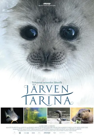 Görsel: TMDB Tale of a Lake afişi