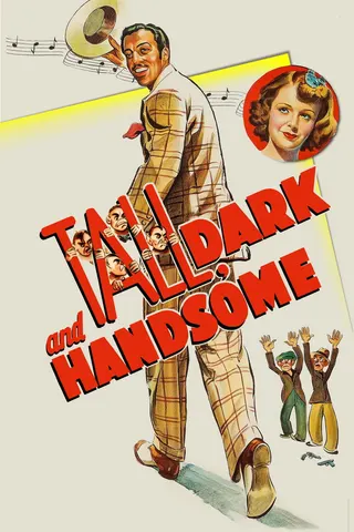 Görsel: TMDB Tall, Dark and Handsome afişi