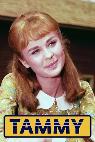 Tammy afişi