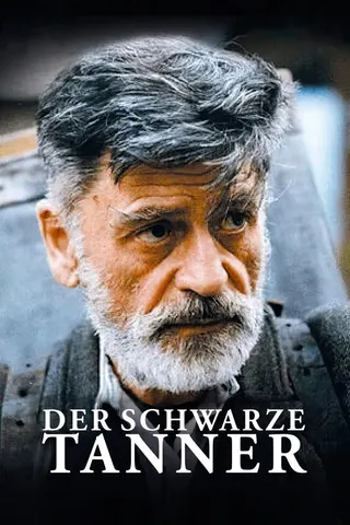 Görsel: TMDB Tanner afişi