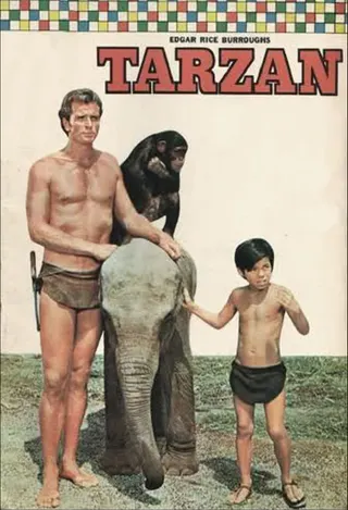 Görsel: TMDB Tarzan afişi