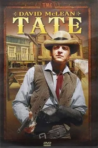 Görsel: TMDB Tate afişi