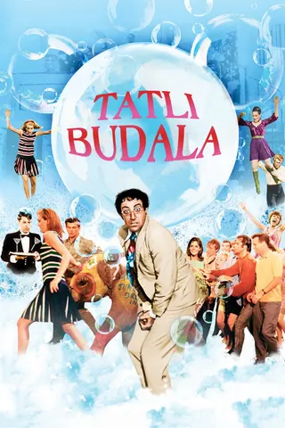 Görsel: TMDB Tatlı Budala afişi