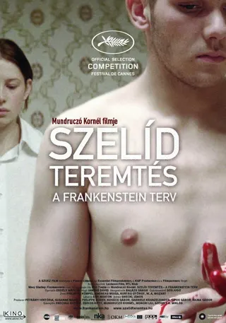 Tender Son – The Frankenstein Project afişi