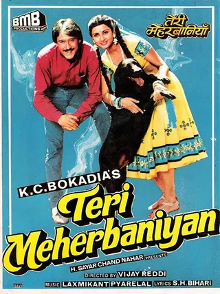 Görsel: TMDB Teri Meherbaniyan afişi