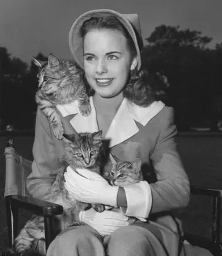 Terry Moore