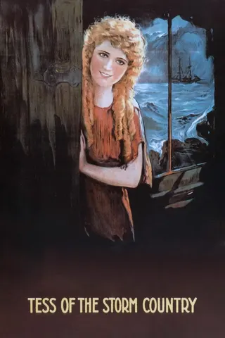 Görsel: TMDB Tess of the Storm Country afişi