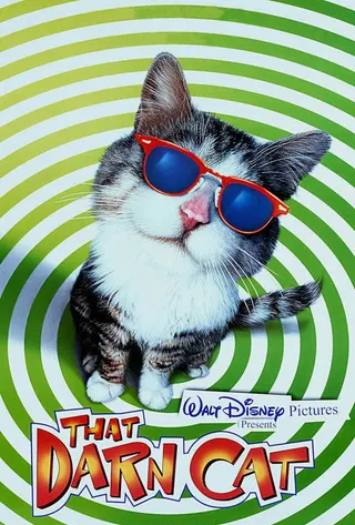 Görsel: TMDB That Darn Cat afişi