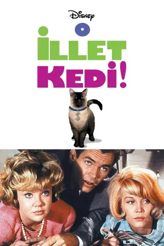 That Darn Cat! afişi