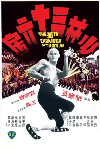 The 36th Chamber of Shaolin afişi