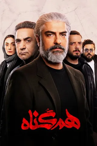 The Accomplice afişi
