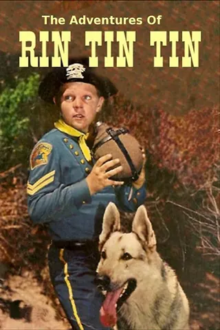 Görsel: TMDB The Adventures of Rin Tin Tin afişi