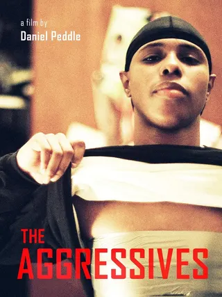 The Aggressives afişi