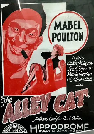 The Alley Cat afişi