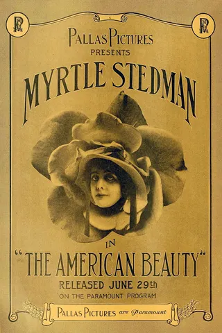 The American Beauty afişi