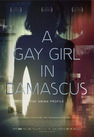 Görsel: TMDB The Amina Profile afişi