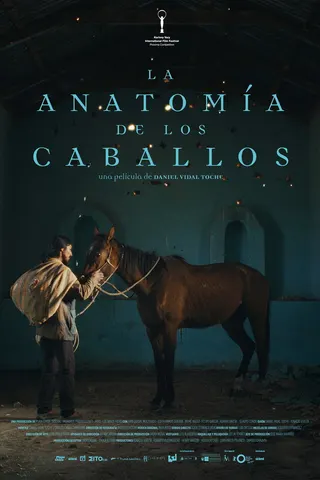 Görsel: TMDB The Anatomy of the Horses afişi