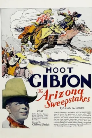Görsel: TMDB The Arizona Sweepstakes afişi