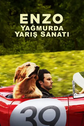 The Art of Racing in the Rain afişi
