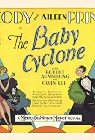 Görsel: TMDB The Baby Cyclone afişi