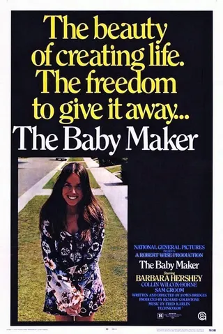 The Baby Maker afişi