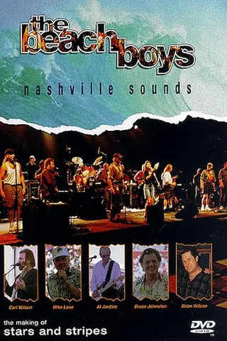 Görsel: TMDB The Beach Boys: Nashville Sounds afişi