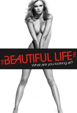 The Beautiful Life afişi
