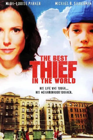 Görsel: TMDB The Best Thief in the World afişi